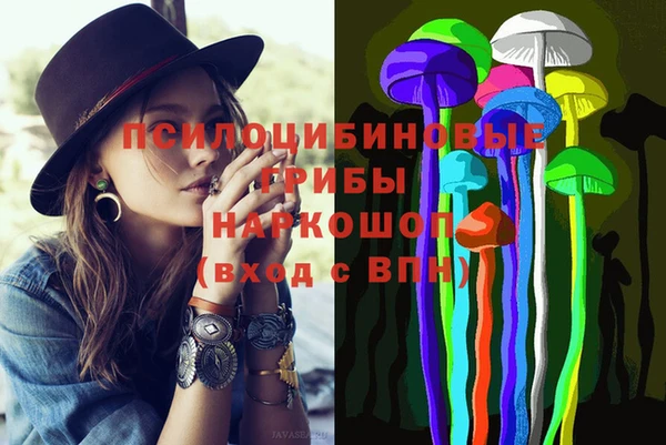 mdpv Домодедово