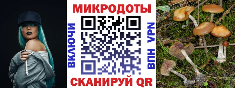 Псилоцибиновые грибы прущие грибы Духовщина